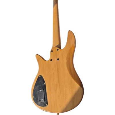 Custom Solis Yin Yang Deluxe 5 String Bass Victor Wooten Quilted Maple Top Satin Finish - Image 6