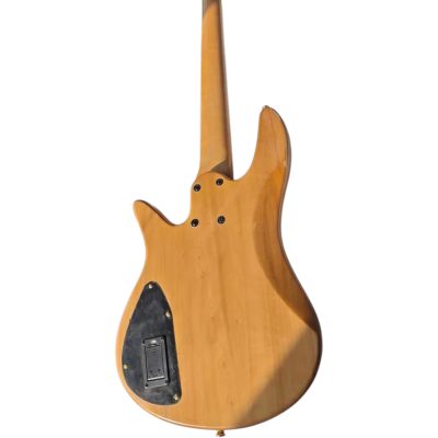 Custom Solis Yin Yang Deluxe 5 String Bass Victor Wooten Quilted Maple Top Satin Finish - Image 7