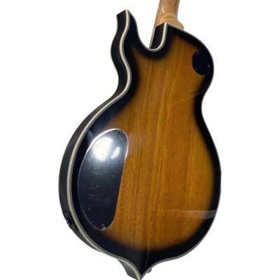 Custom Titan Audio Wylde Bullseye Buzzsaw Electric Guitar - Image 4