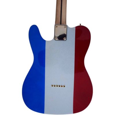 Custom Regent Buck Owens Red Blue Silver Sparkle Finish Guitar Gold Hardware - Image 9