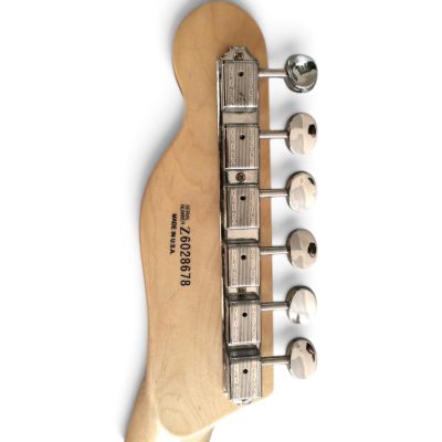 Custom Regent Natural Ash Burl 6 String Guitar - Image 4