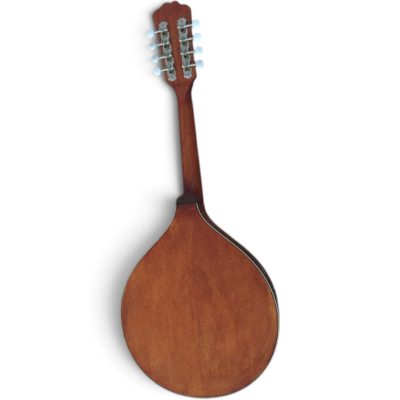 Custom Corundum Spruce Top Irish Bouzouki Octave Mandolin 8 String Acoustic Guitar - Image 2