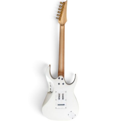 Custom Axis JEM7V Steve Vai White Gold Floral Electric Guitar - Image 6