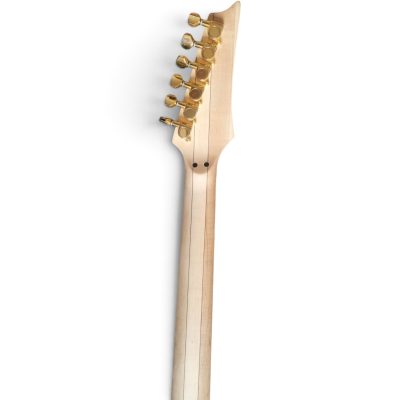 Custom Axis JEM7V Steve Vai White Gold Floral Electric Guitar - Image 9