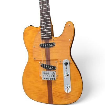 Custom Regent TV Yellow Flamed Maple Top Electric Guitar