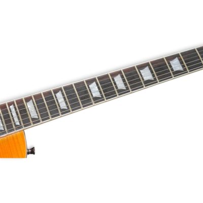 Custom Crown Slash Appetite Amber Flamed Maple Top Zebra Humbucker Pickups Electric Guitar - Image 3