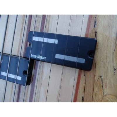 Custom Pyrite Burl 10 String Extended Range Electric Bass Neck Through Body Design - Image 3