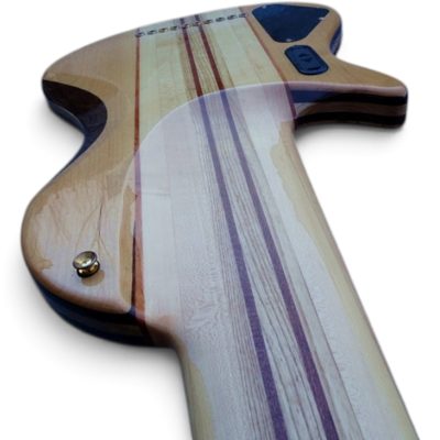 Custom Pyrite Burl 10 String Extended Range Electric Bass Neck Through Body Design - Image 8