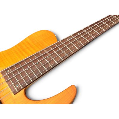 Custom Solis Imperial Amber Matthew Garrison 5 String Bass Single Cut Body - Image 3