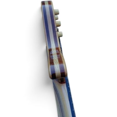 Custom Pyrite Burl 10 String Extended Range Electric Bass Neck Through Body Design - Image 11