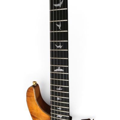 Custom Monarch Santana Burl Spalted Top Rosewood Neck Electric Guitar - Image 5