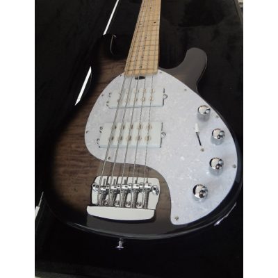 Custom Aether Sting Brown Burst Quilted Maple Top 5 String Bass