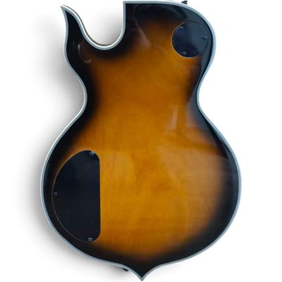 Custom Titan Natural Black Burst Audio Wylde Bullseye Buzzsaw Electric Guitar - Image 9