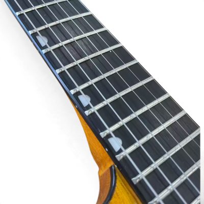 Custom Sovereign Jupiter Thunderbird Billy Bo Natural Finish Guitar Bigsby Tremolo - Image 6
