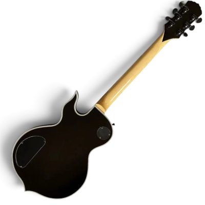 Custom Titan Wylde Grail Psychic Bullseye Rawtop Norse Rune Fretboard Inlays Electric Guitar - Image 7