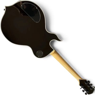 Custom Titan Wylde Grail Psychic Bullseye Rawtop Norse Rune Fretboard Inlays Electric Guitar - Image 6
