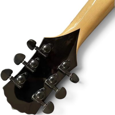 Custom Titan Wylde Grail Psychic Bullseye Rawtop Norse Rune Fretboard Inlays Electric Guitar - Image 5