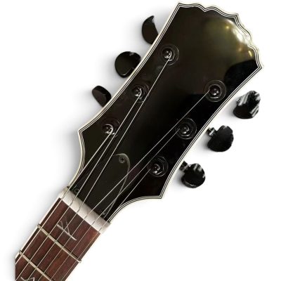 Custom Titan Wylde Grail Psychic Bullseye Rawtop Norse Rune Fretboard Inlays Electric Guitar - Image 3