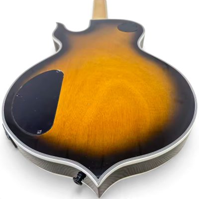 Custom Titan Natural Burst Audio Wylde Bullseye Buzzsaw Electric Guitar - Image 5